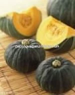 new crop fresh saffron pumpkin