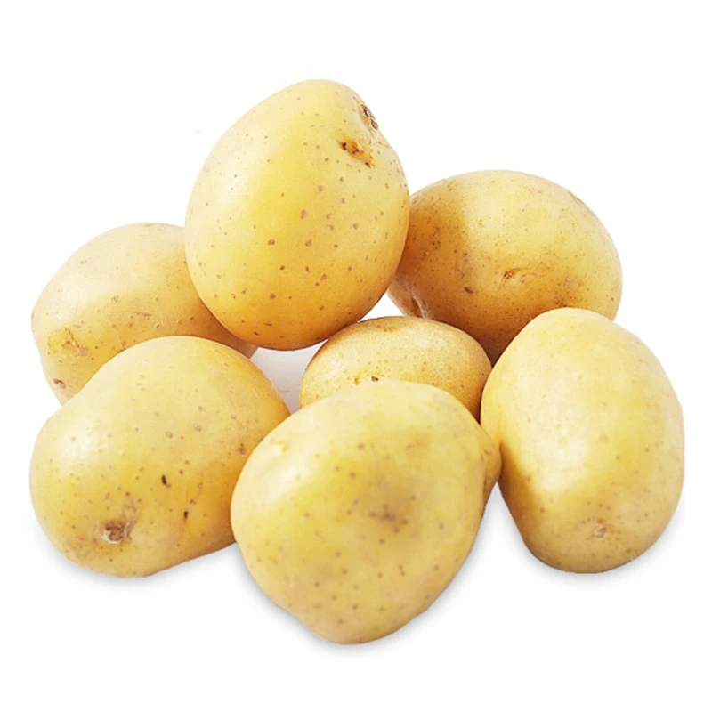 new crop fresh sweet yellow  potato mesh bag packing organic China potatoes