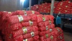 New Crop Fresh Yellow Onion with Mesh Bag