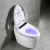 Import New Design Wholesale  Automatic Electronic Closestool Intelligent Smart Bathroom Toilet from China