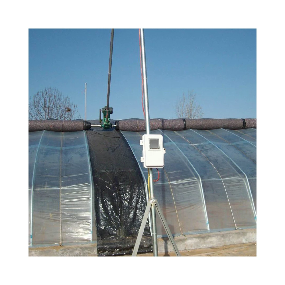 New Listing Large Operation And Practicality Can Be Customized Green House Agriculture