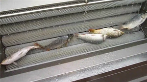 New Technical Adopted for Fish Scaling Machine / Fish Processing Equipment