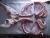 Import Ninxia Tanyang frozen halal lamb leg meat from China