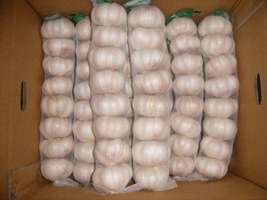 Normal White Garlic Good Quality / Fresh Garlic For Sale / Organic Garlic