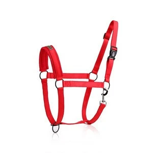 Nylon Webbing Adjustable Adjustable Zinc Alloy Clip Padded Horse Halter Equestrian Padded
