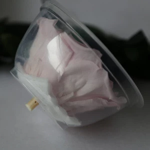 Online Shop Preserved Flower Uk For Fundraising Event From China Flower Auction Market