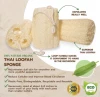 Organic Loofahs Loofah Spa Exfoliating Scrubber Natural Luffa Body Wash Sponge