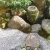 Import Paving Stone Crush Chip Pebble Stone and Flower Pots for Garden Stone Ornament from China