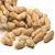 Import Peanuts Raw Fresh Quality Groundnuts 100% For Sale from USA