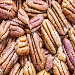 Pecan Nuts for sale