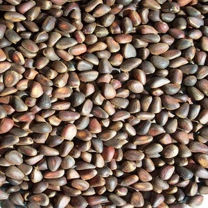 Pine Nuts  selling natural opened afghan pine nuts for import