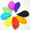 Pink Ostrich Plumes Feathers, Feather Ostrich Plumes, Different Colours Carnival Ostrich Feathers