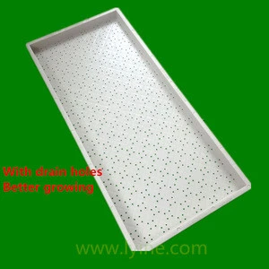 Plant Seed Growing Trays for Seedling Micro greens, Wheatgrass
