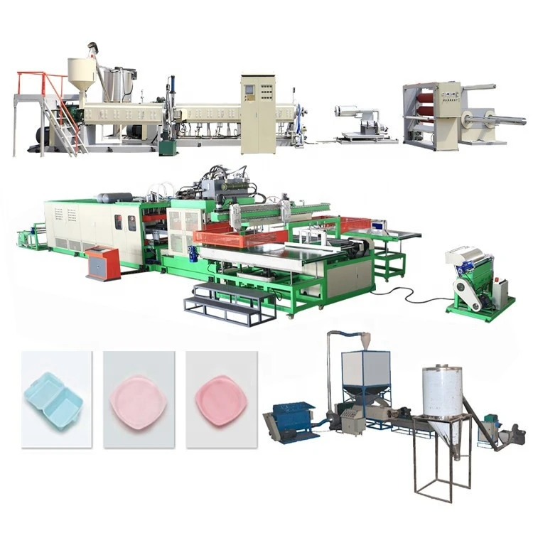 Plastic PS Polystyrene disposable foam fruit food container EPS vacuum forming machine Production Line