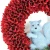 Import Popular Pine Nut Squirrel Red Wood Flower Wreath For Christmas Family Decoration from China