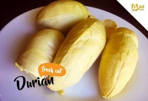 Premium Fresh Durian