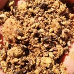 Premium Quality Cottonseed Meal