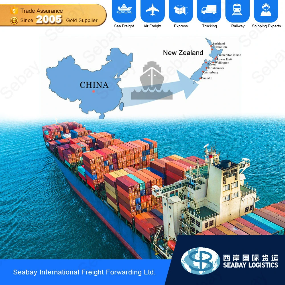 Professional China Shipping Agent Ship Sea Freight Forwarder To New Zealand