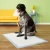 Puppy Training Products Disposable Pet Potty Pad