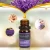 Import Pure 5ml glass bottle 100% Natural Lavender fragrance essential oil from China