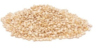 Quinoa seeds for sale now