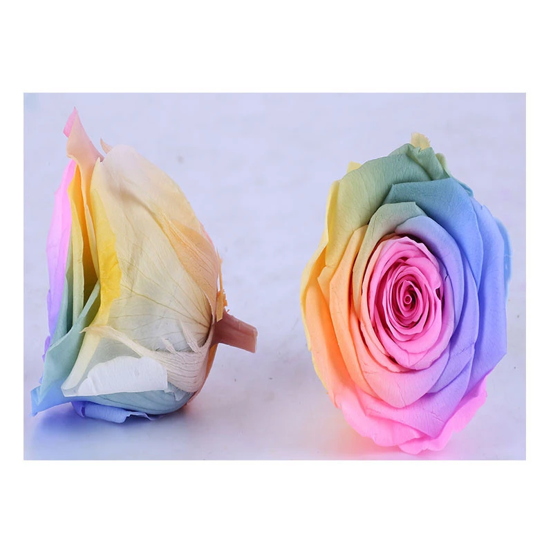 Rainbow Color Preserved Flower Birthday Gift Preserved Rose for Party Decoration