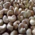 Import Raw Cashew Nuts &amp; Kernels - Famous Brand Cashew Nuts For Buyers from India