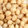 RAW MACADAMIA NUTS NOW AVAILABLE FOR SUPPLY, PEELED AND UNPEELED