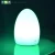 Import rechargeable egg light table lamp for seafood restaurant from China