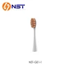 Rechargeable toothbrush Nylon bristle customized electric toothbrush replacement head  in reasonable price