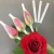 Import Rose Transparent Single Rose Flower Sleeve from China