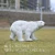Import SE7ART Customized Simulation Garden Decoration Life Size Animal Fiberglass Polar Bear Sculpture from China
