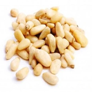 selling pine nuts good quality nuts