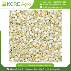Sesame Seed 100% High End Pure Quality Natural Protein Enriched Best Selling Oil Seed Buy At Competitive Market Price