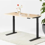 Single Motor Desk Height Adjustable Desk Sit Stand Office Desk