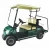 Import Small 2 Seaters Electric golf Cart from China