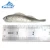 Import soft bait 65mm 2.5g mini-size soft lure 3D eyes soft worm fish ocean rock lure from China