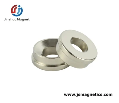 Special Shape Neodymium Ring Magnet Custom Magnet with Hole