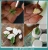 Import Specialty 3D Leaf Shape baking tools from China