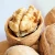 Import SRnaturalfood Original Raw Walnuts in Paper Shell Fresh Unbroken Walnuts from China