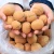 Import SRnaturalfood Original Raw Walnuts in Paper Shell Fresh Unbroken Walnuts from China