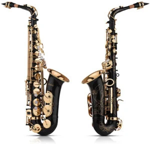 TOMI Eb Alto Saxophone Sax Brass Lacquered Gold 82Z Key Type Woodwind Instrument