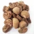 Import Top Grade Raw Betel Nut from Canada 100% Natural with Good Price Wholesale Quantity from Canada
