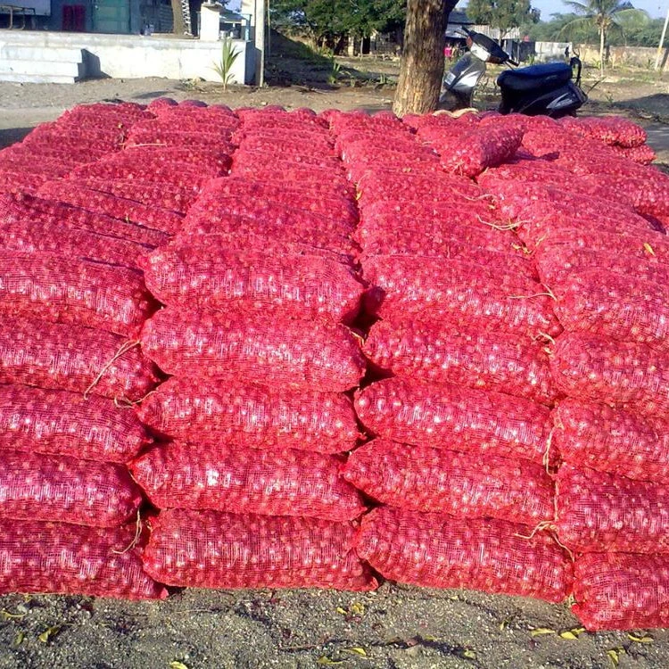 Top Quality Best Selling Indian Red Onions