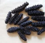 Top Quality Dried Sea Cucumber !!