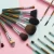 Import Top Quality Natural Hair Red Wood Handle Cosmetic Brush Set Makeup Brush with Cylinder from China
