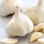 Import Top Quality Wholesale Fresh Garlic in Mesh Bag from China