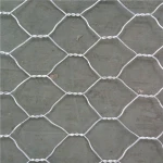 trending products 2021 new arrivals PVC Coated Gabion/welded mesh galvanized wire mesh