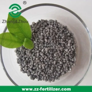TSP fertilizer 46%  (Tirple Super Phosphate Granular)