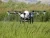 Import Tta Unmanned Long Range Agricultural Spraying Machine Drone from China